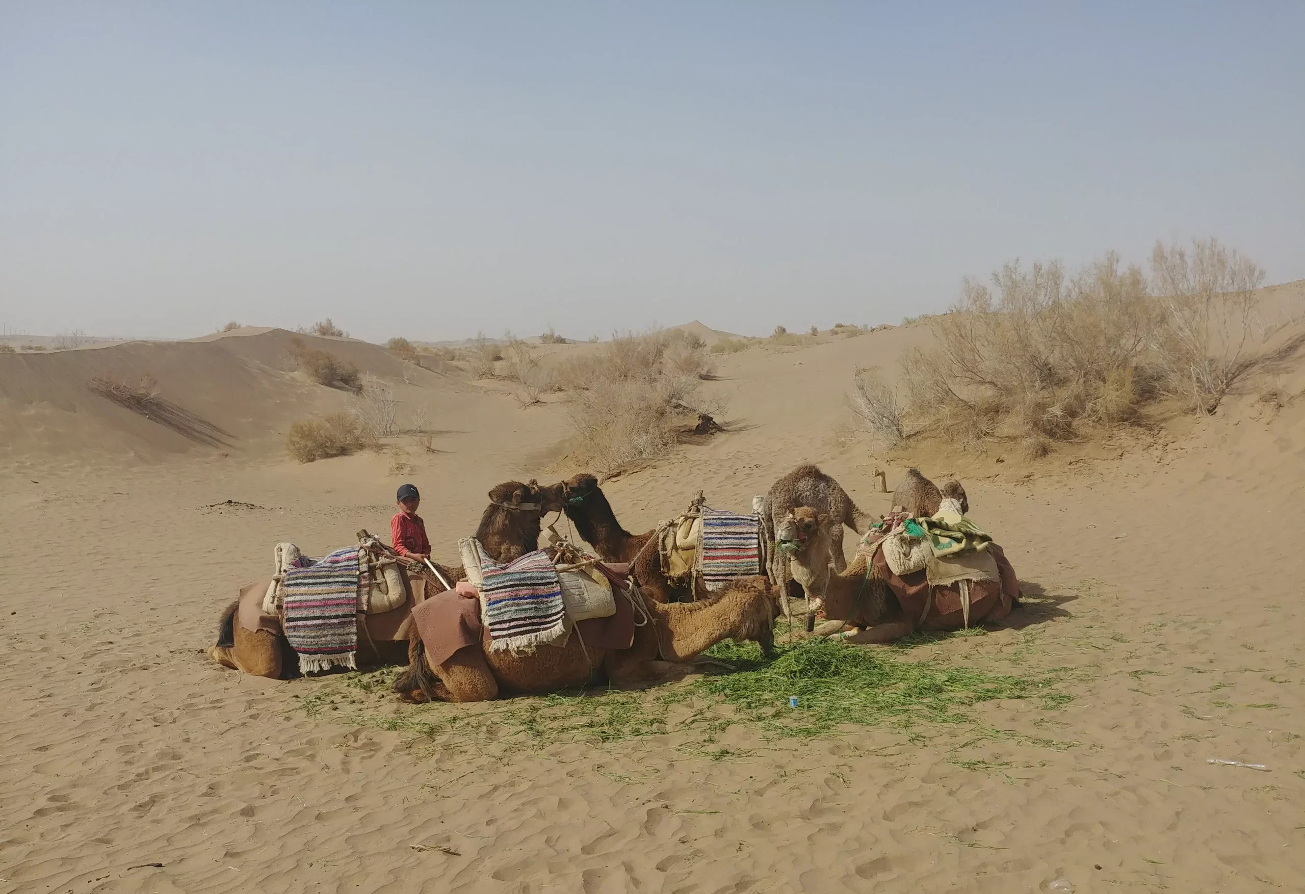 تور کویر مصر از مشهد