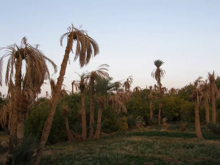 روستای مصر 