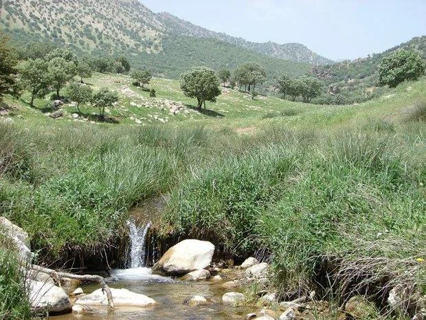 کوه‌های میرجاوه