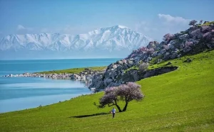 تور وان ترکیه