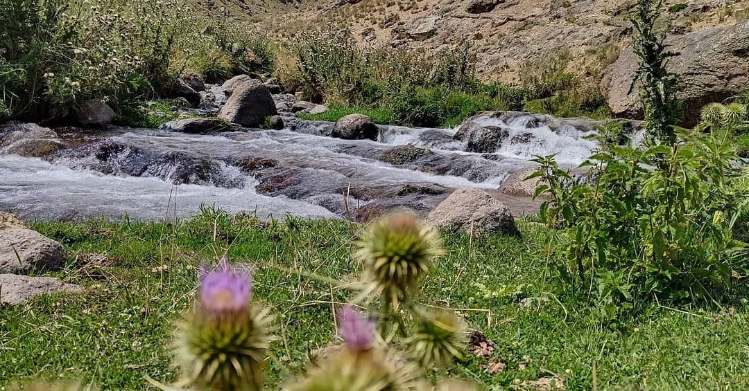 تور سرعین 