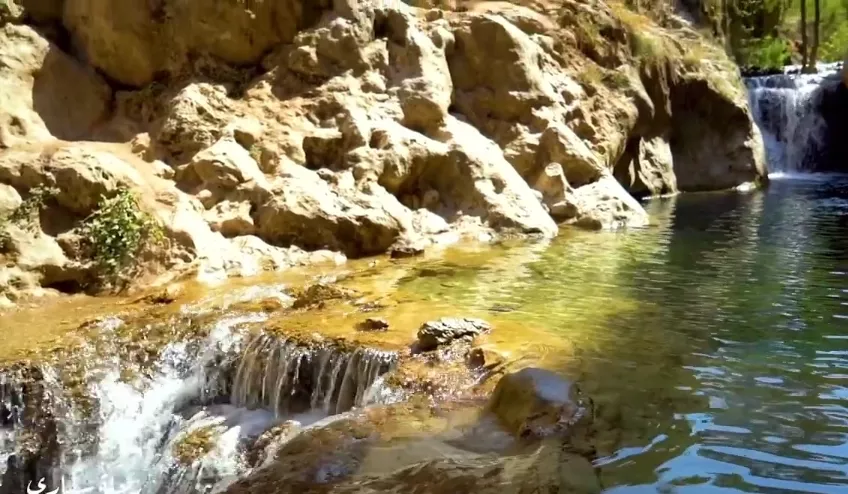 تور عراق از مشهد