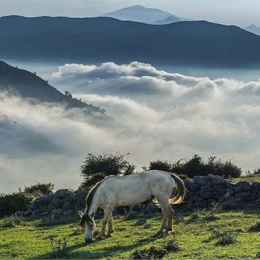 تور فیلبند