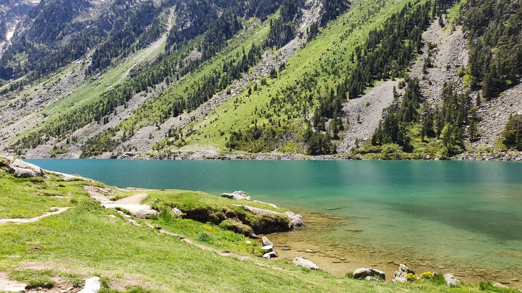 تور فرانسه